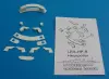 Artikelbild 1 des Artikels “Heckpoller/Rollklampe M 1:100 “